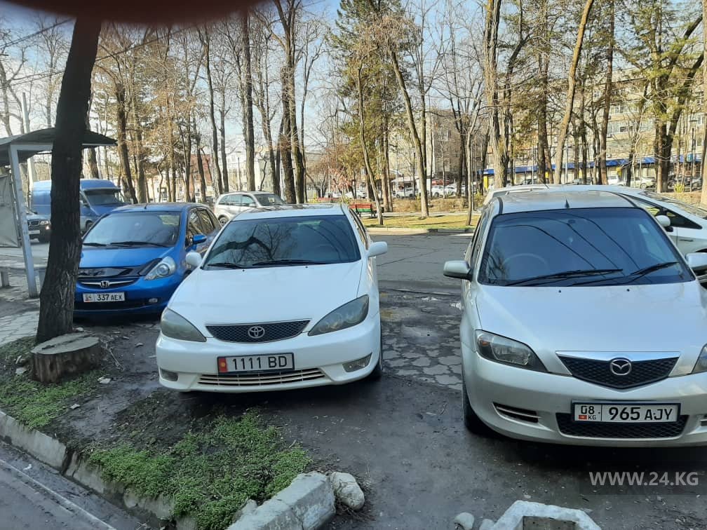 Чудаки парковки