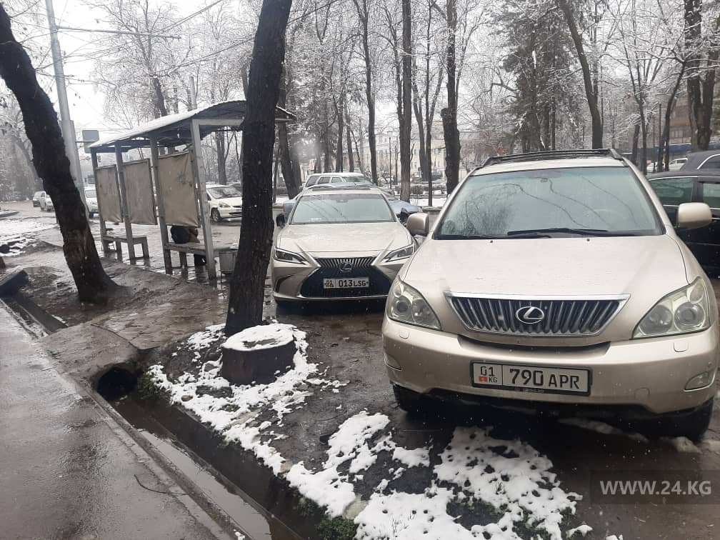 Чудаки парковки
