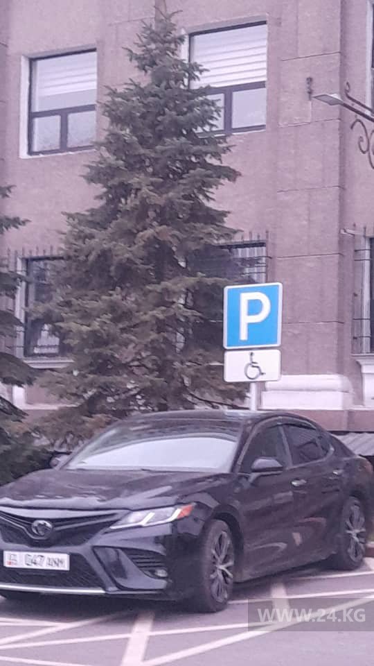 Чудаки парковки