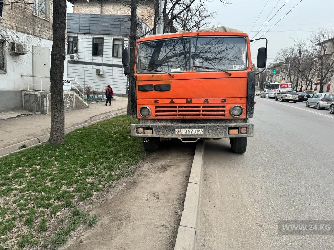 Чудаки парковки
