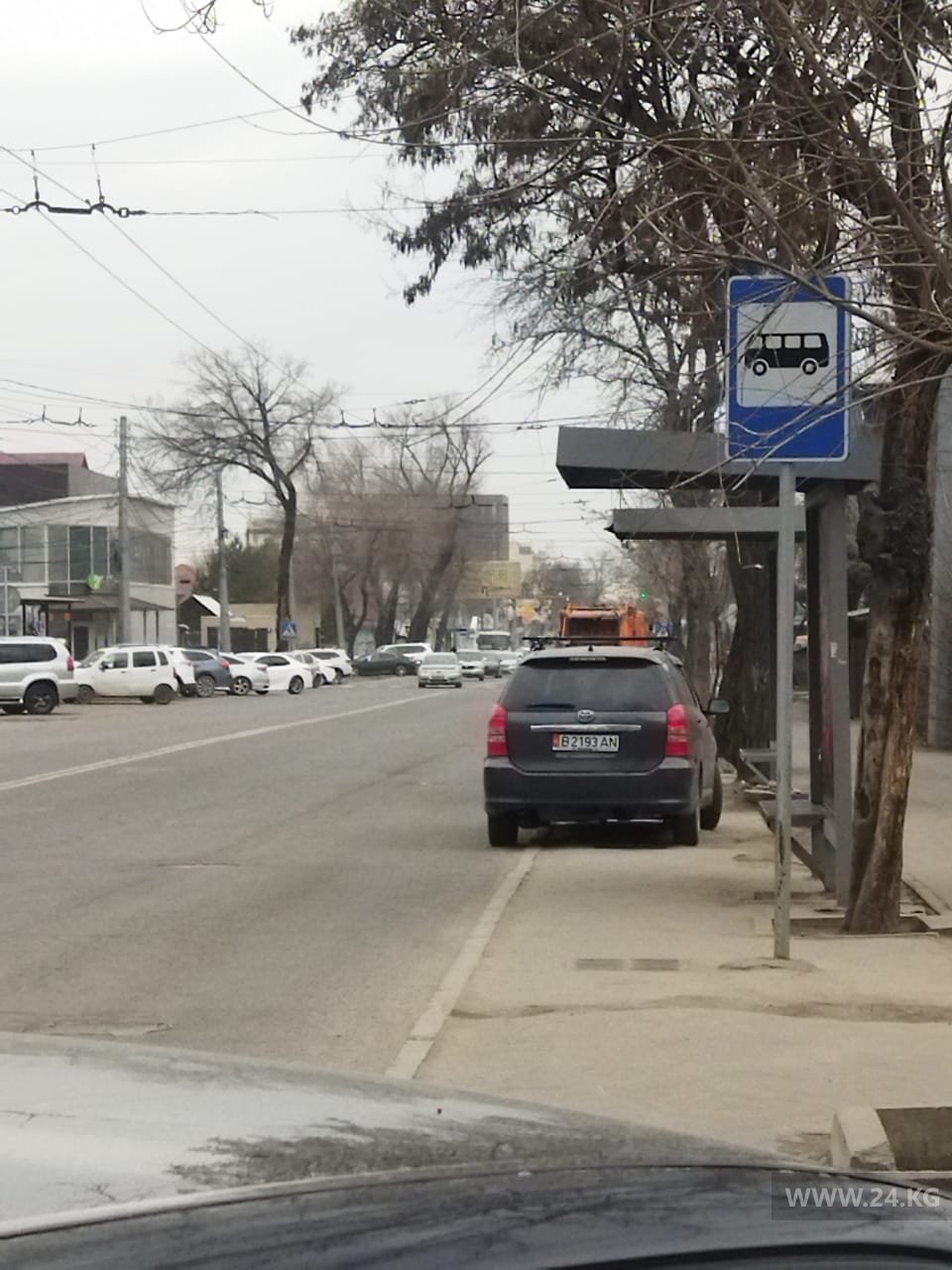 Чудаки парковки