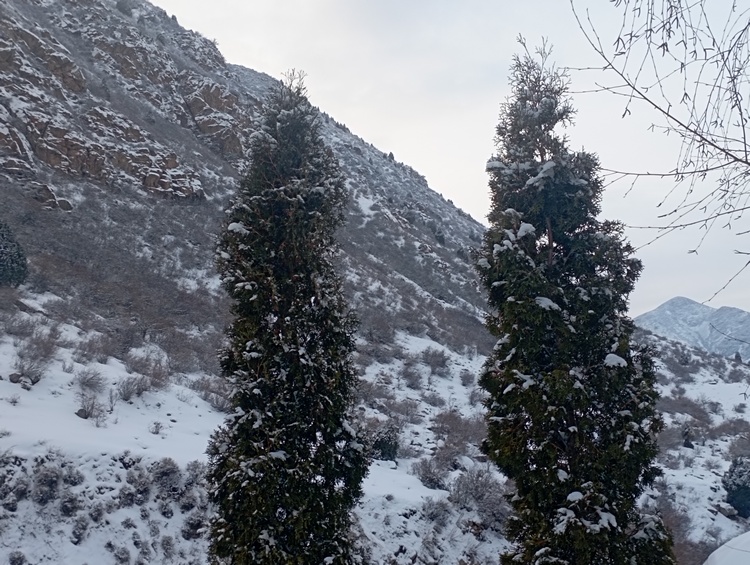 Аламединское ущелье, начало марта