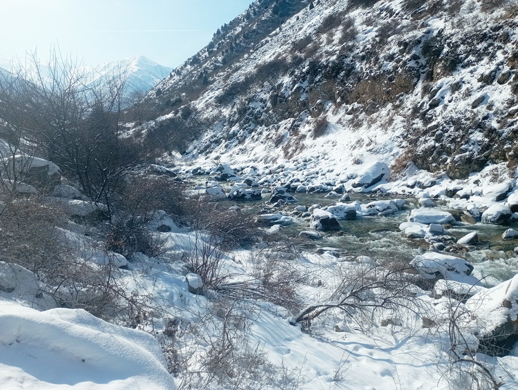 Аламединское ущелье, начало марта
