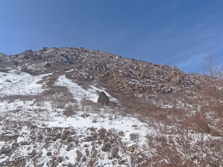 Аламединское ущелье, начало марта