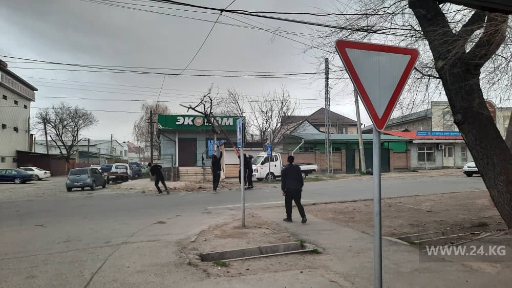 Ветер в Бишкеке