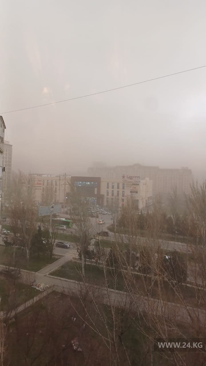 Ветер в Бишкеке