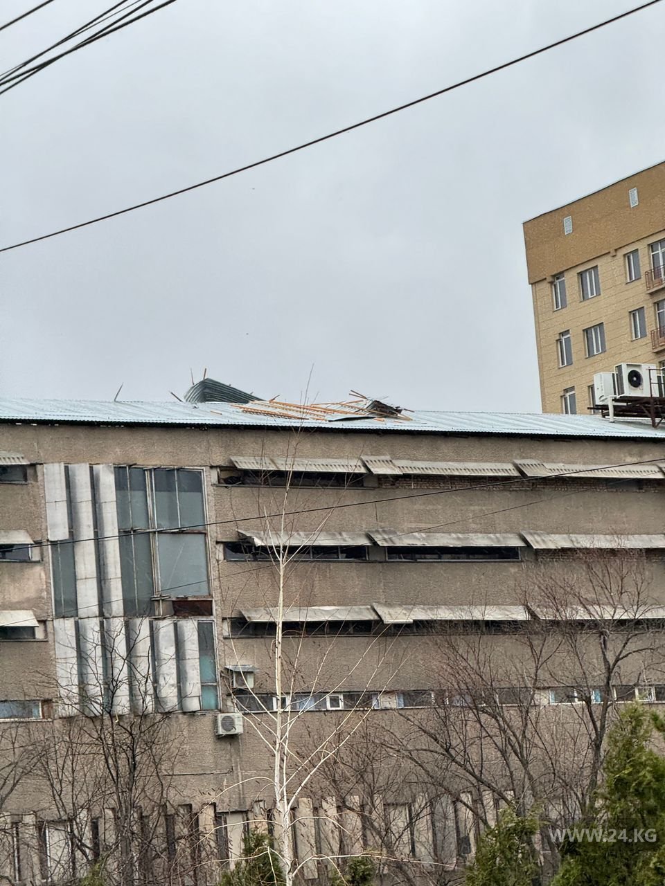 Сильный ветер