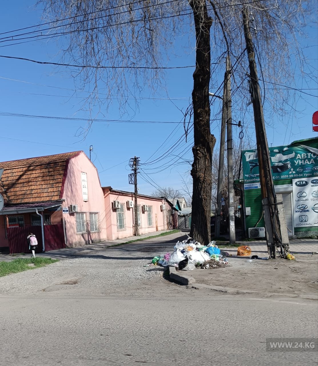 Мусор в Бишкеке