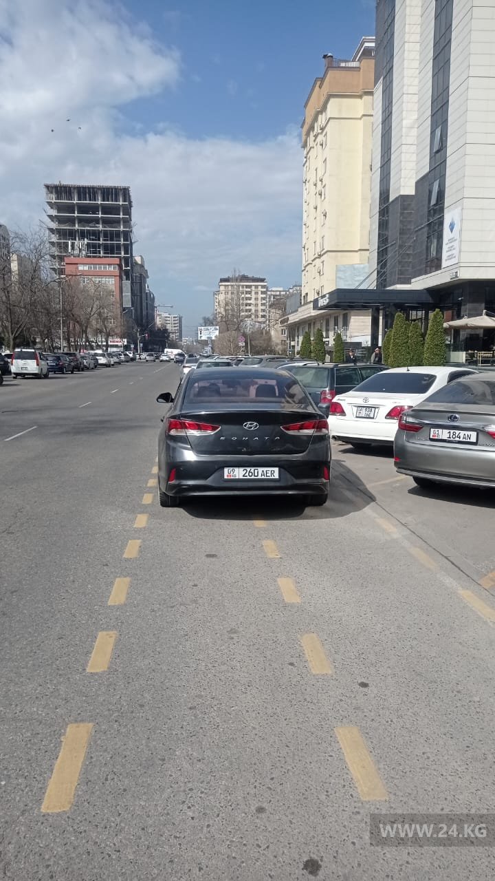 Чудаки парковки