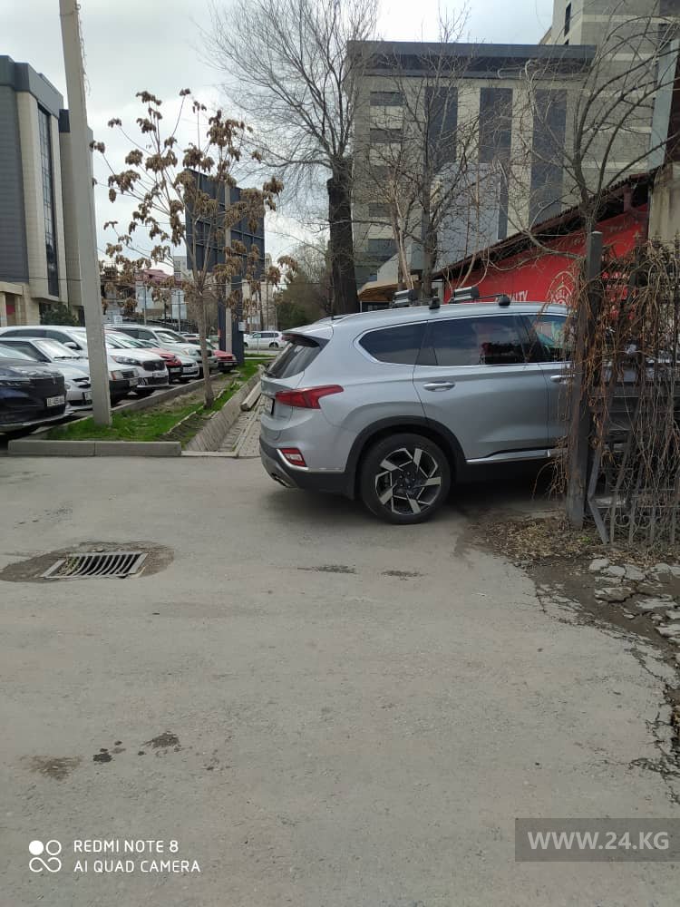 Чудаки парковки