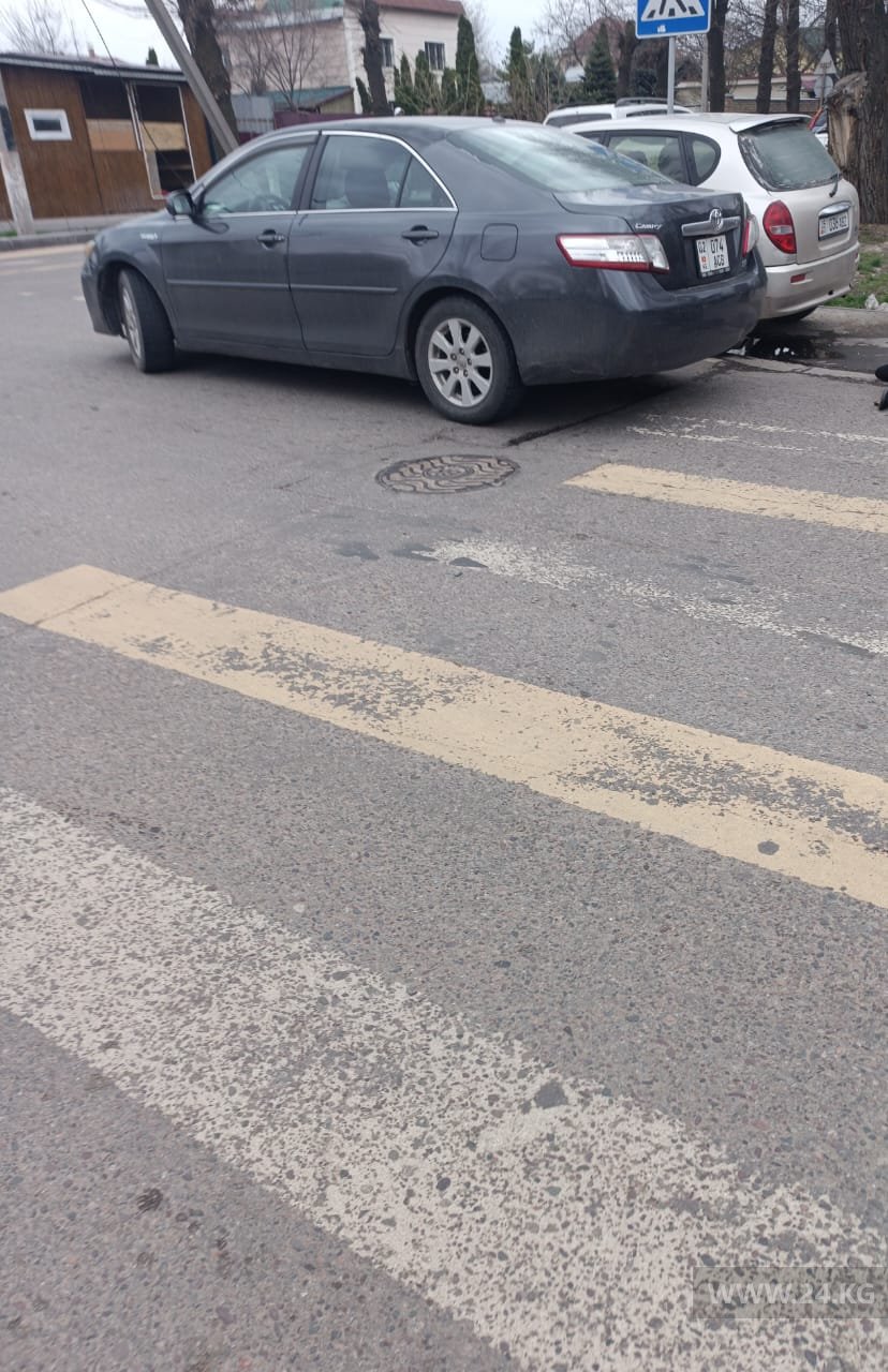 Чудаки парковки