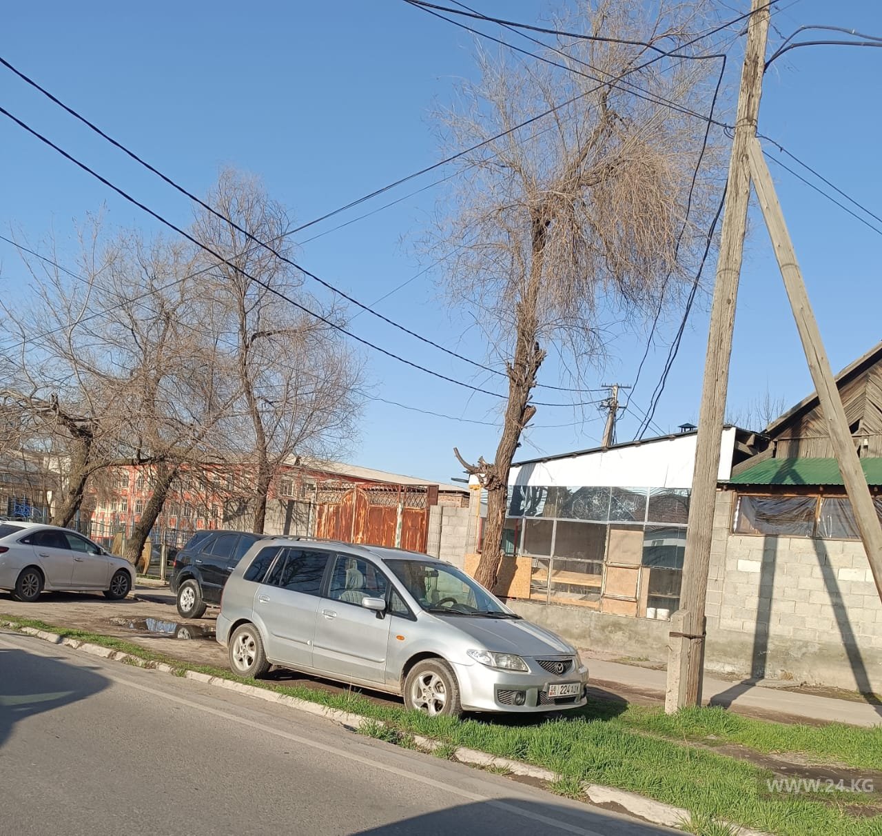 Чудаки парковки