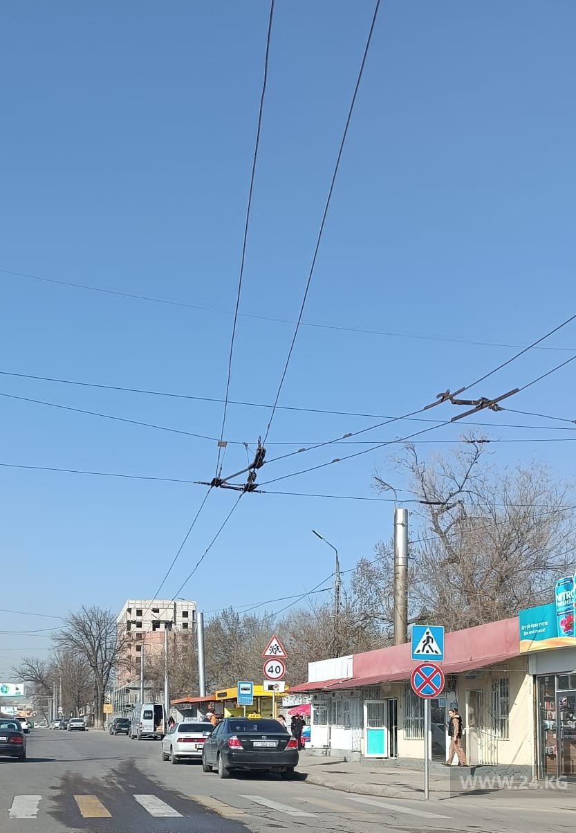 Чудаки парковки