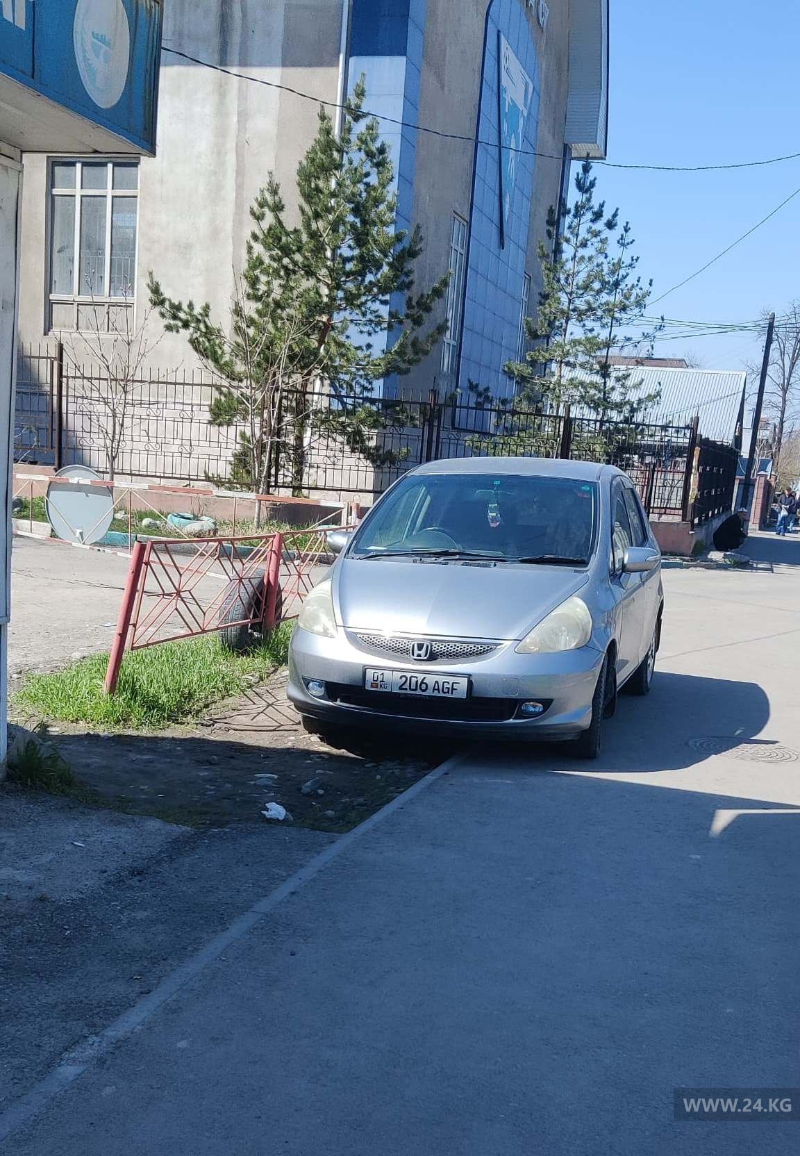 Чудаки парковки