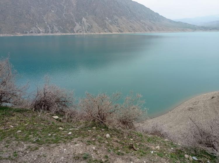 Папанское водохранилище, март 2024 года