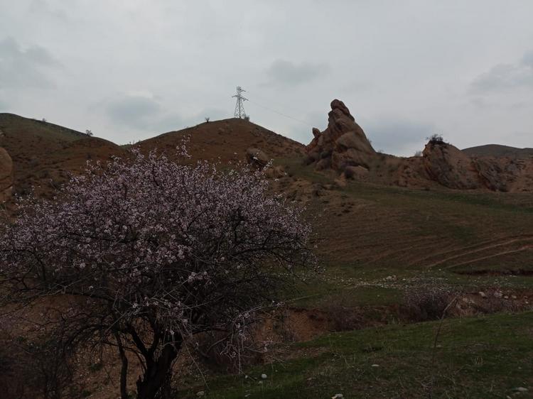 Папанское водохранилище, март 2024 года