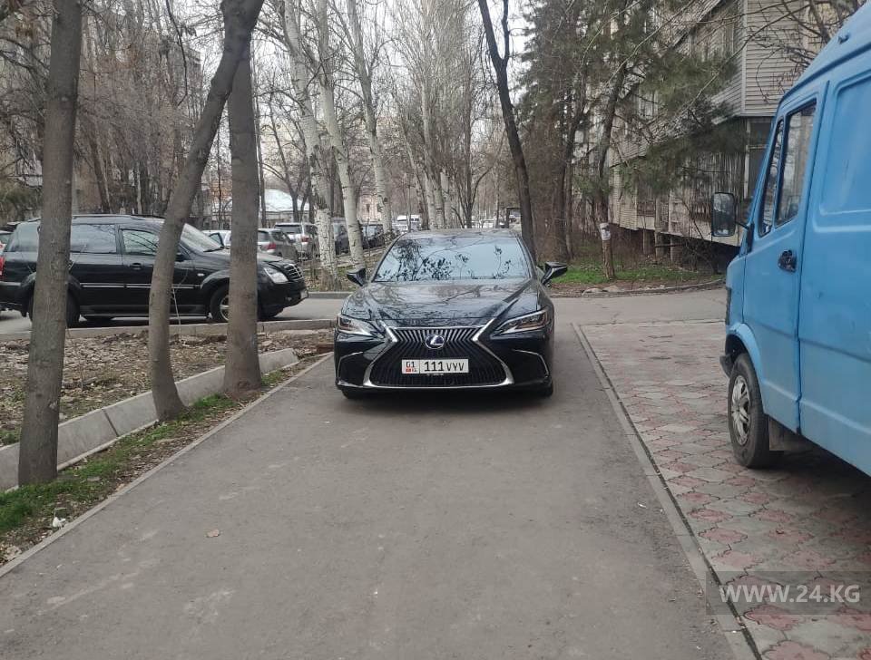 Чудаки парковки
