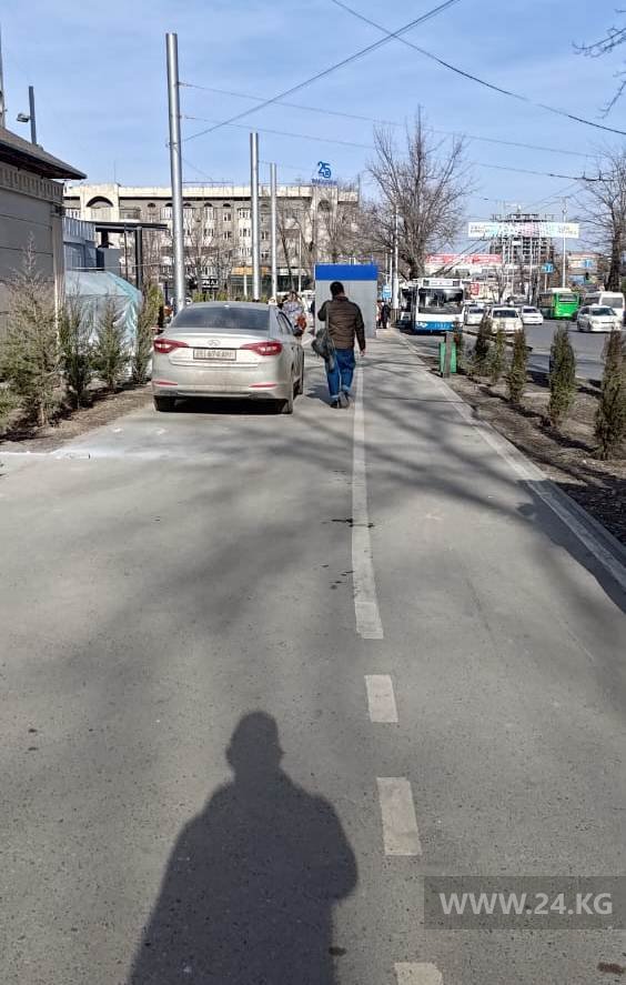 Чудаки парковки