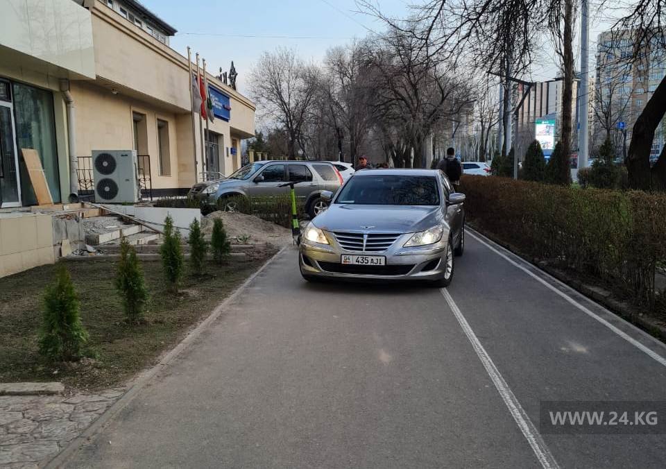 Чудаки парковки