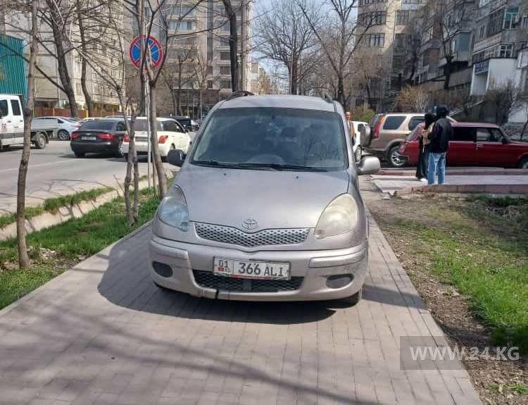 Чудаки парковки