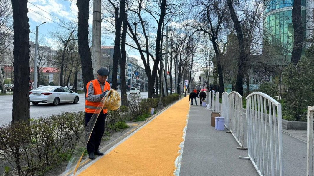 Велодорожку на улице Абдрахманова покрасили в разные цвета