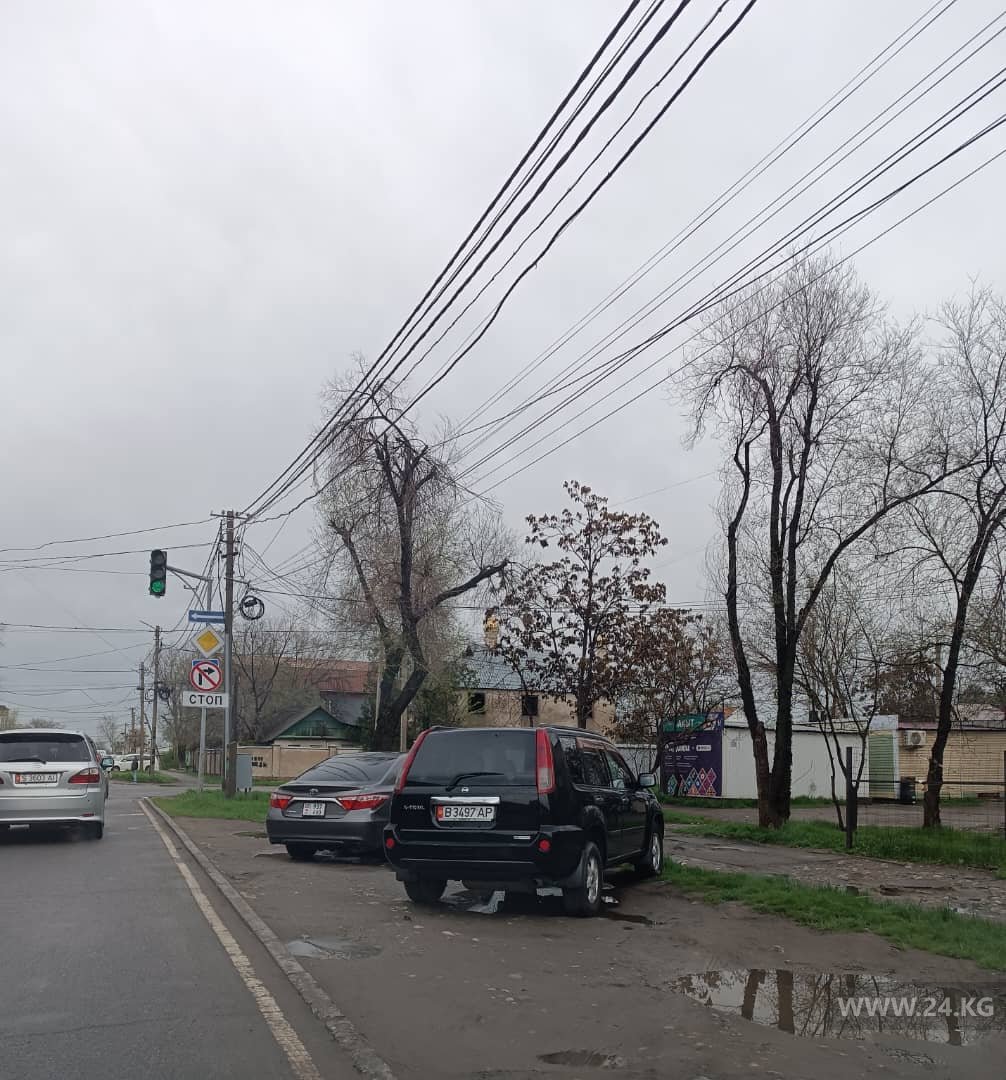 Машины на газоне в Бишкеке