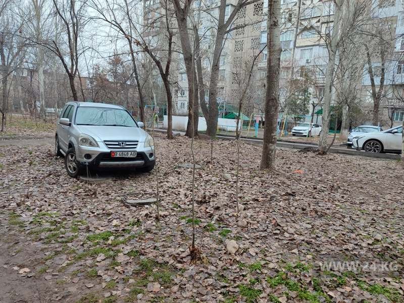 Чудаки парковки в Бишкеке
