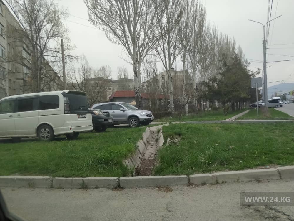 Чудаки парковки в Бишкеке