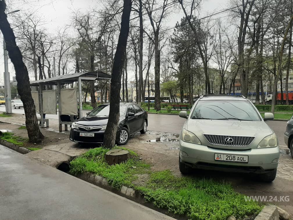 Чудаки парковки