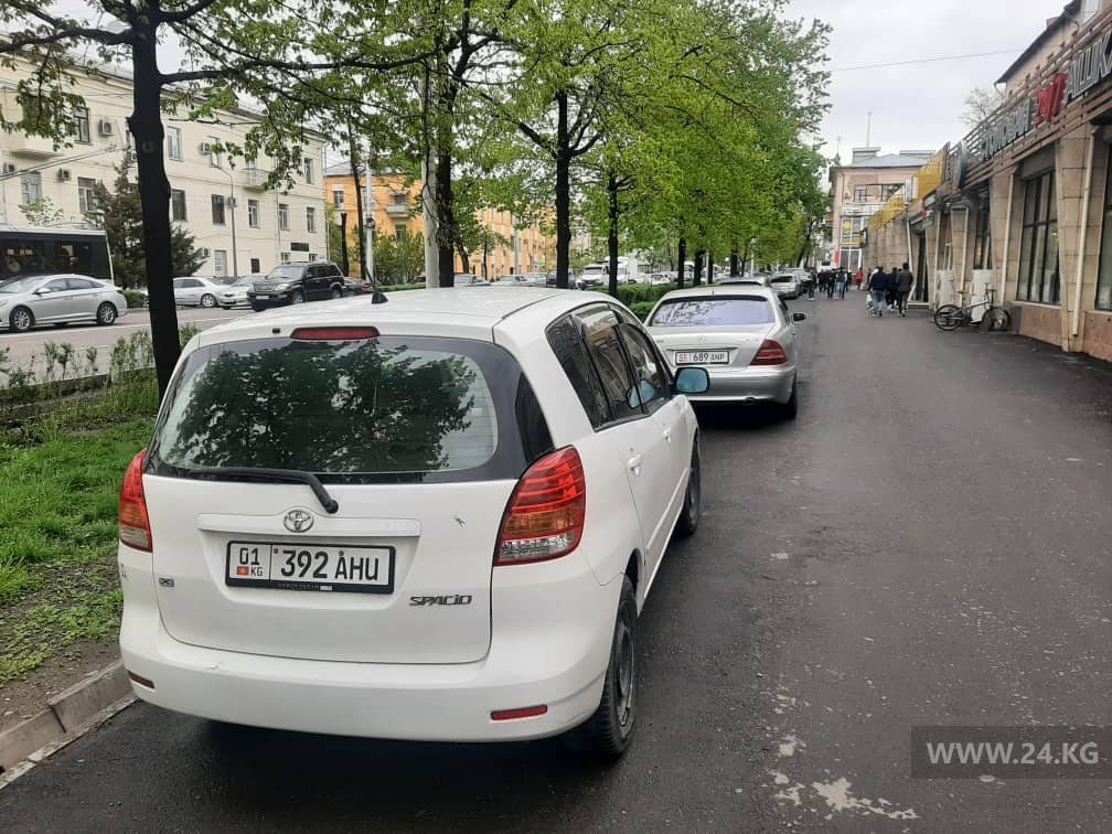 Чудаки парковки