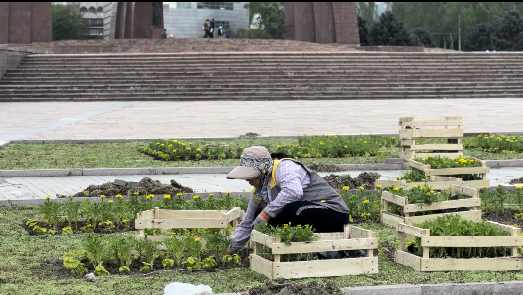 Посадка цветов