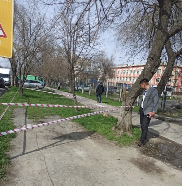 Такими лентами защищают зеленые зоны от машин