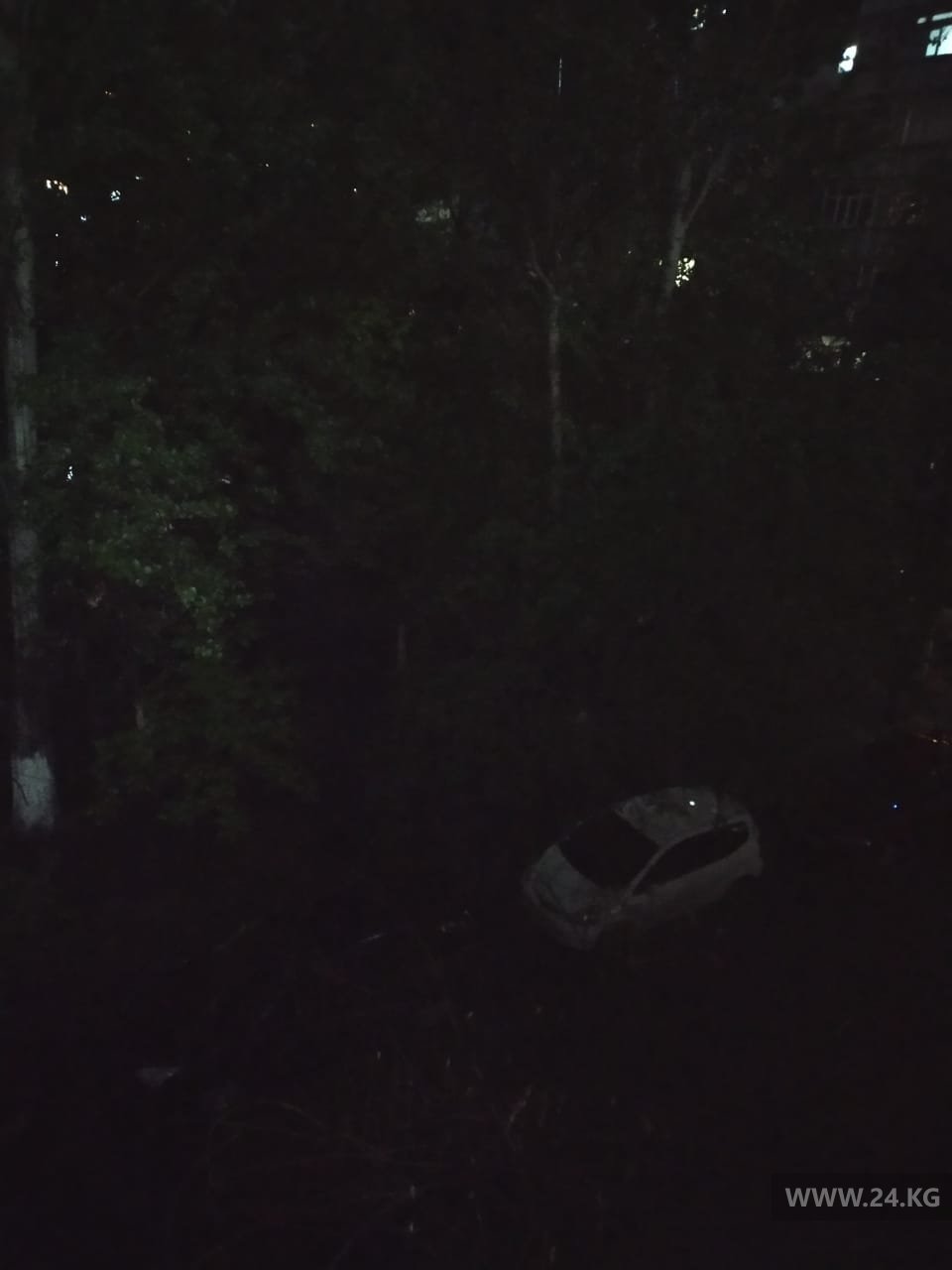 Темный двор