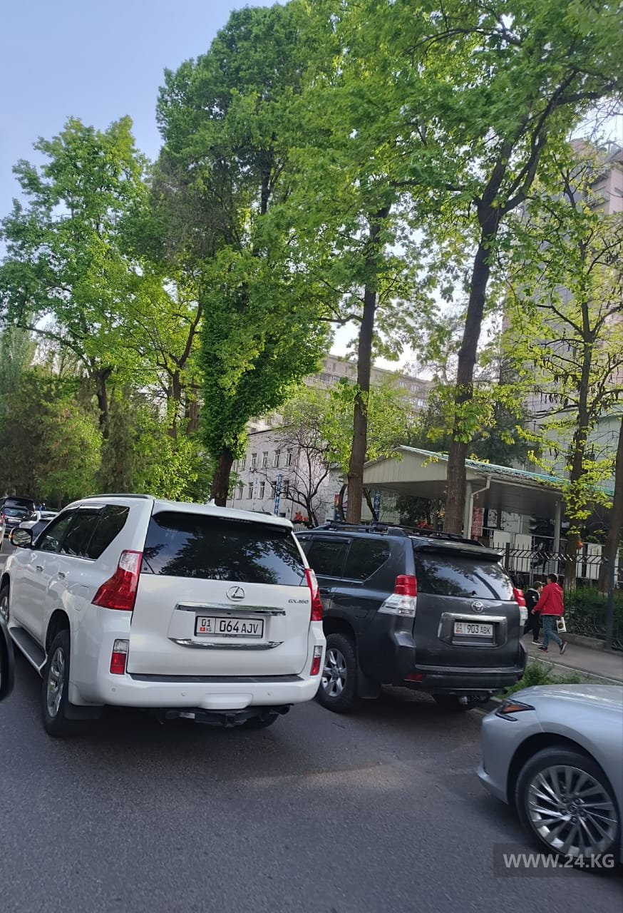 Чудаки парковки