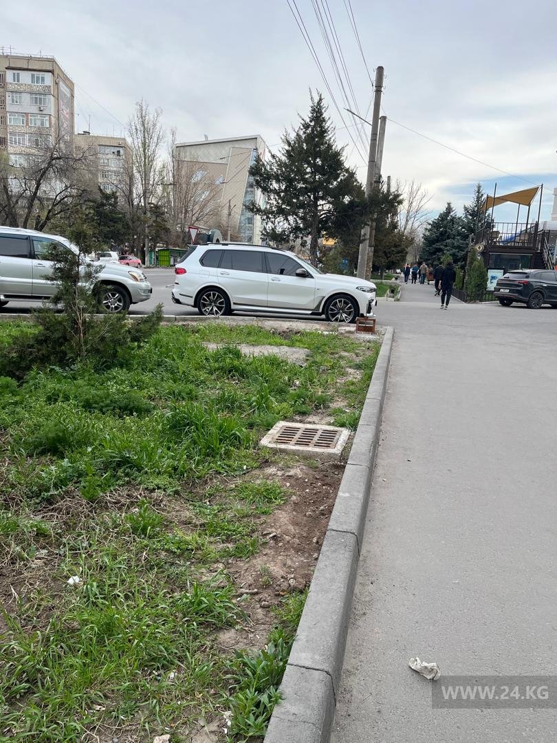 Чудаки парковки