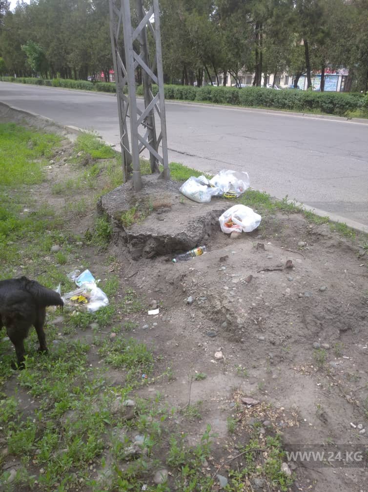 Мусор на обочине