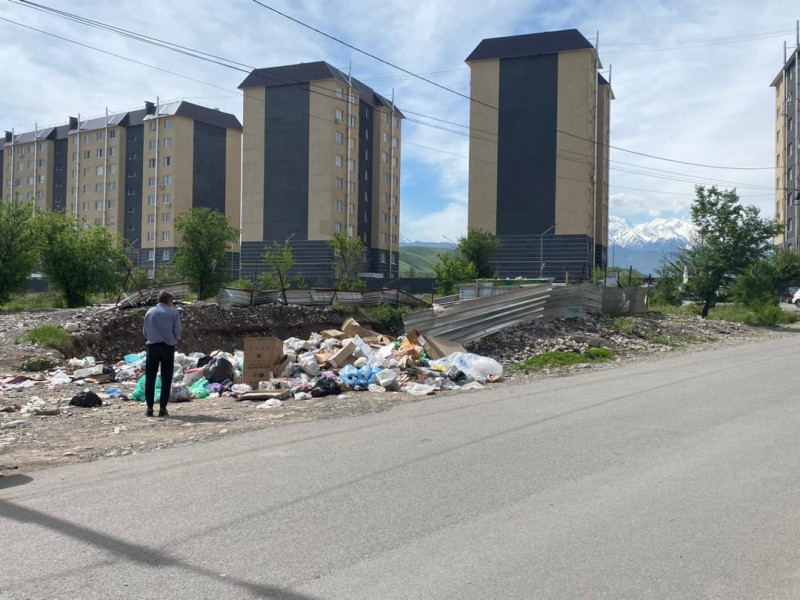 За выброс мусора в неположенном месте могут оштрафовать