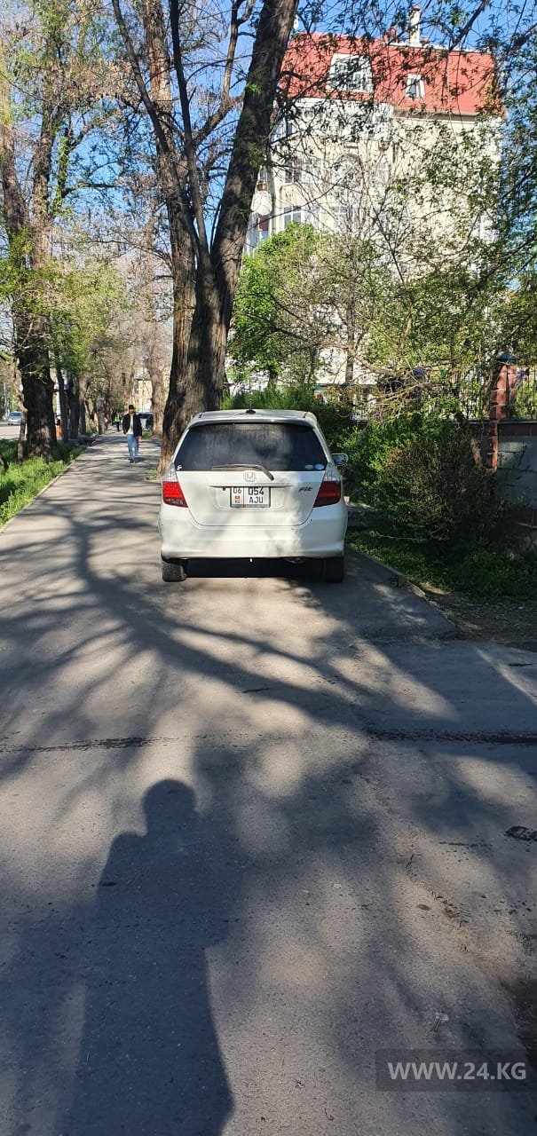 Чудаки парковки
