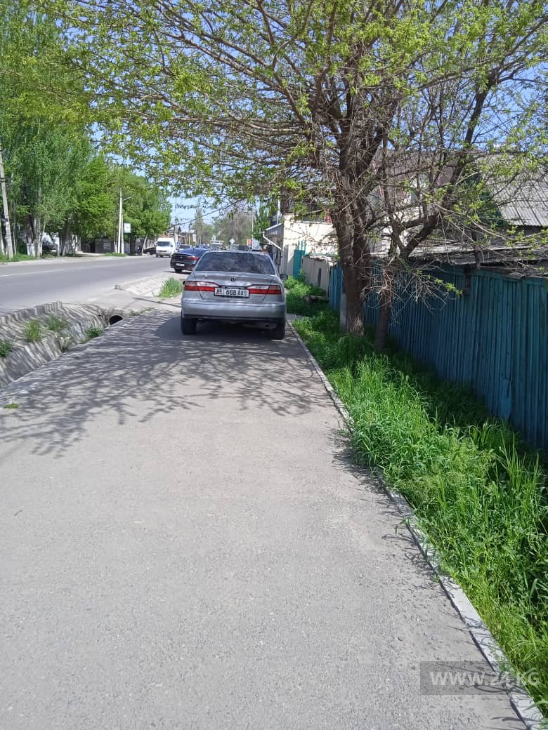 Чудаки парковки