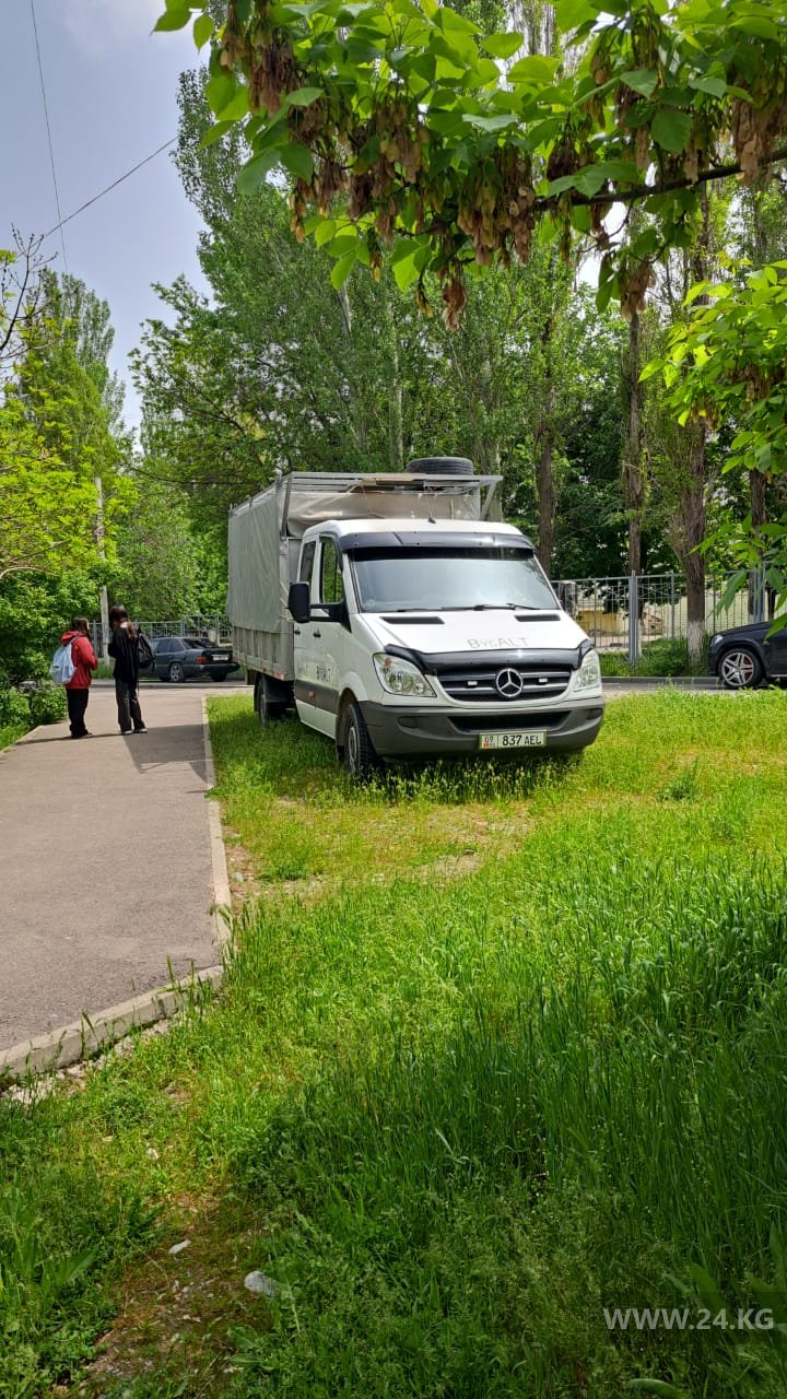 Чудаки парковки