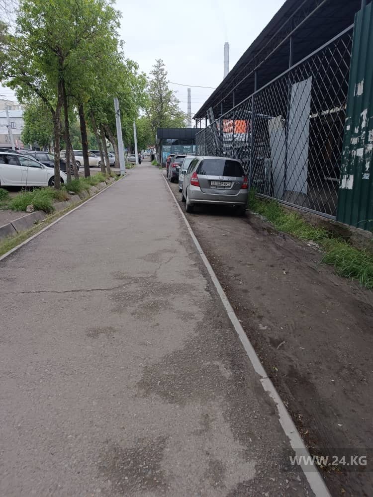 Чудаки парковки