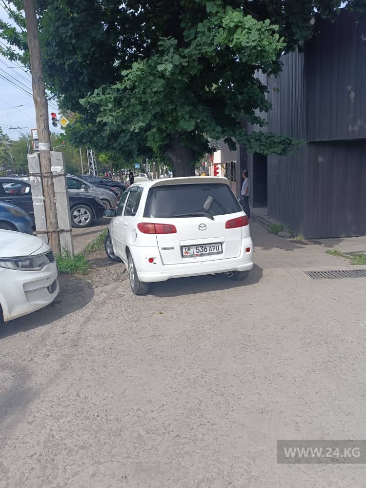 Чудаки парковки