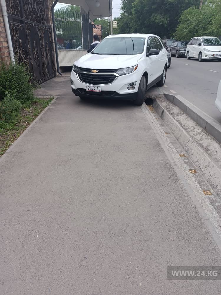 Чудаки парковки