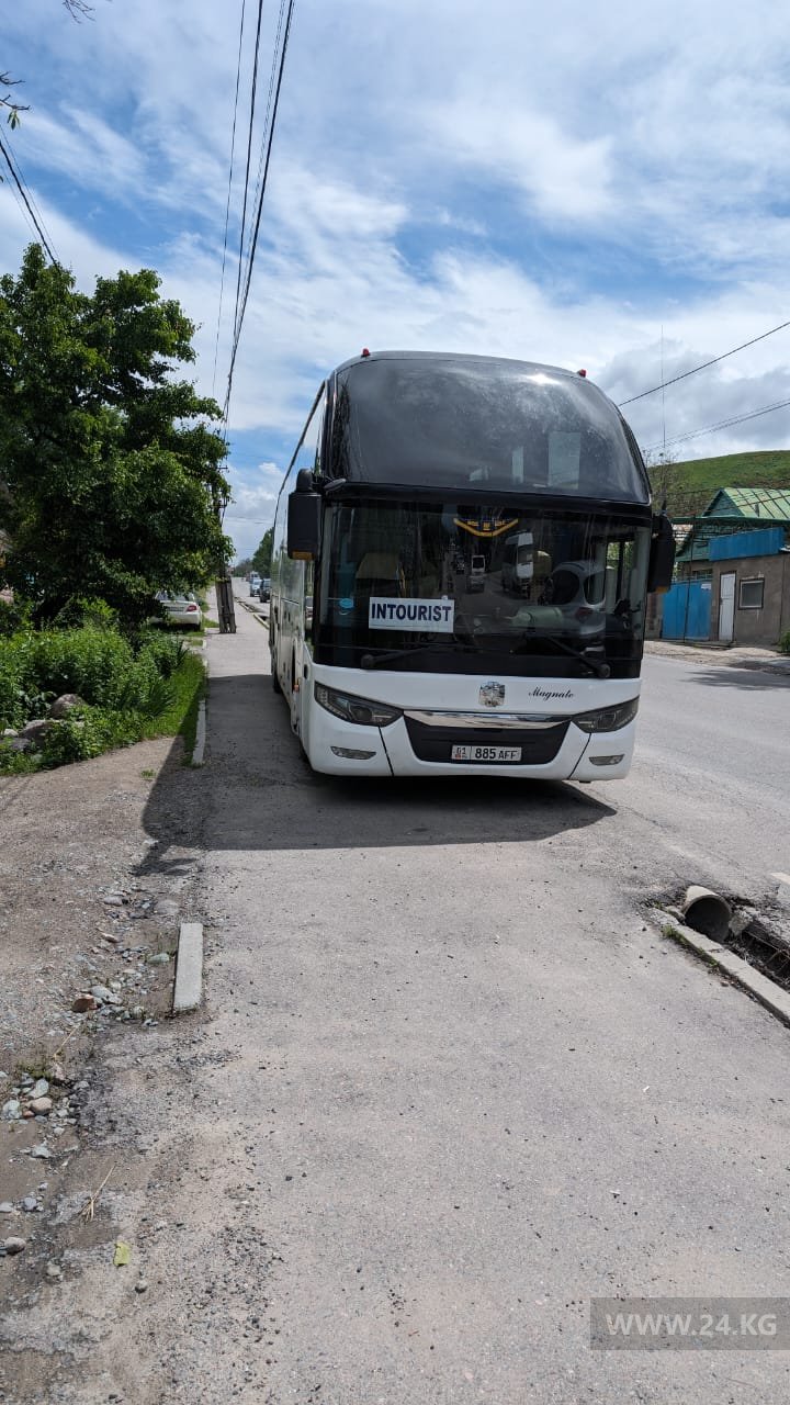 Чудаки парковки