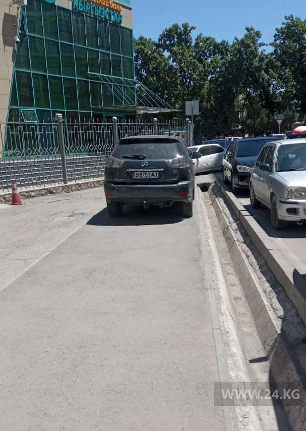 Чудаки парковки