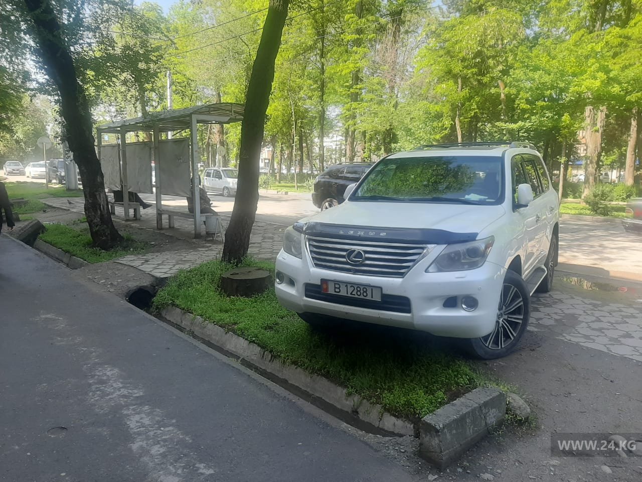 Чудаки парковки