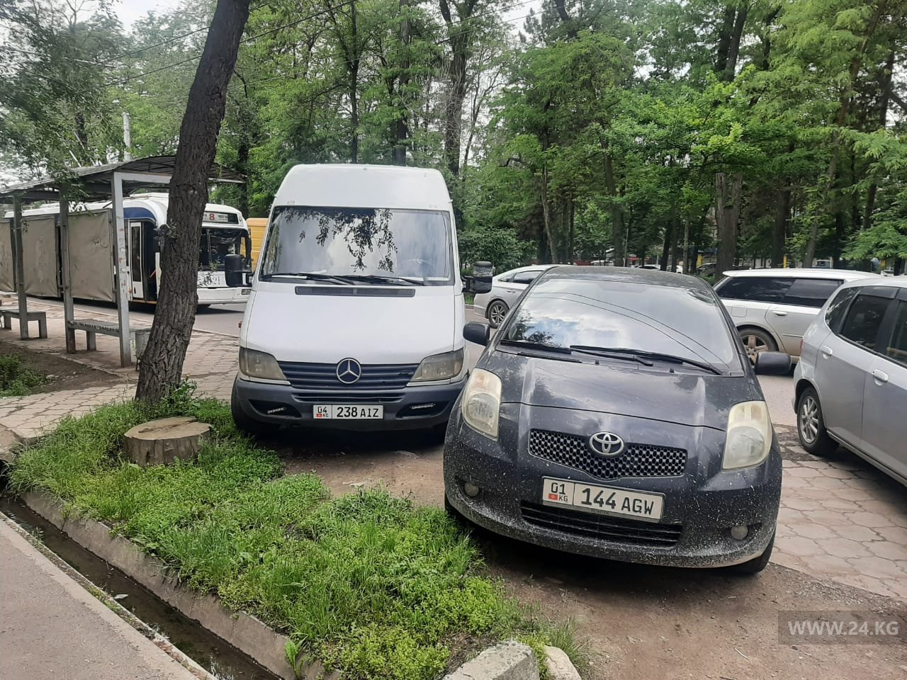 Чудаки парковки
