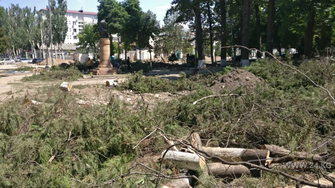 Вырубка деревьев в Бишкеке