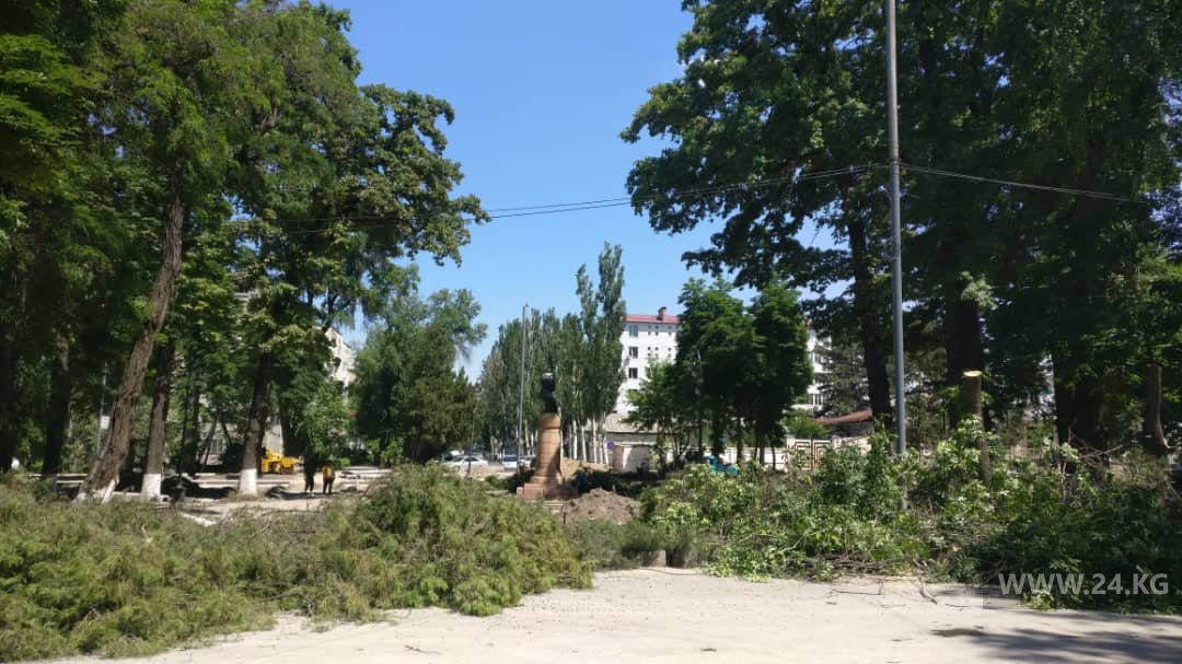Вырубка деревьев в Бишкеке