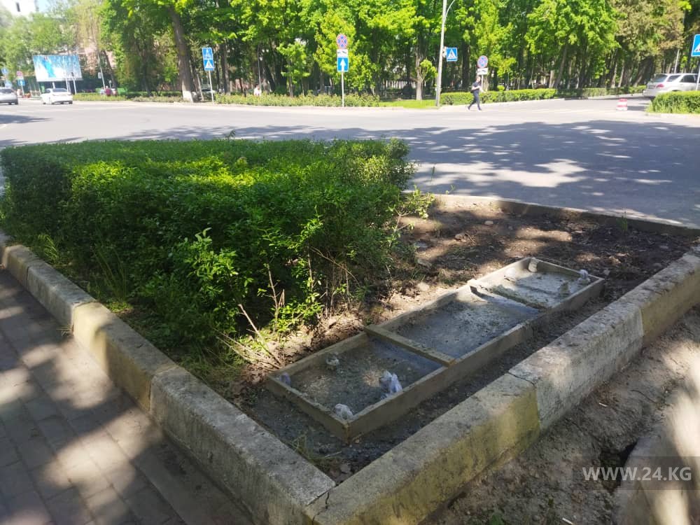 Вырубка кустарника в Бишкеке